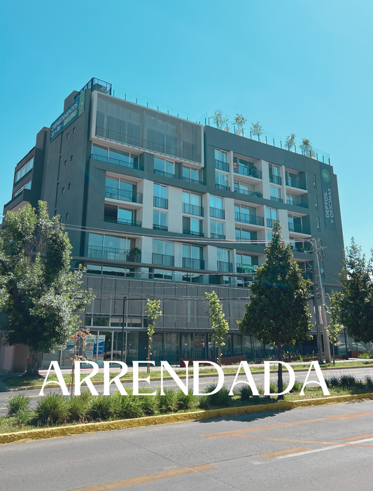 Departamento Providencia Sector Lion