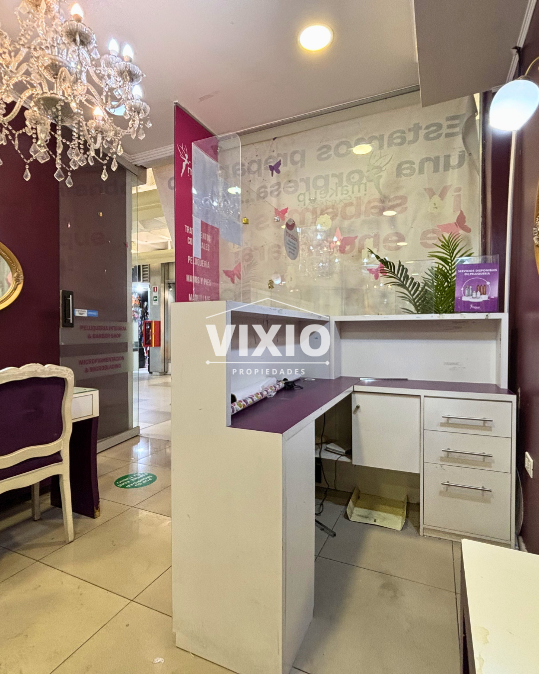 Arriendo Local Comercial Mall Apumanque Las Condes