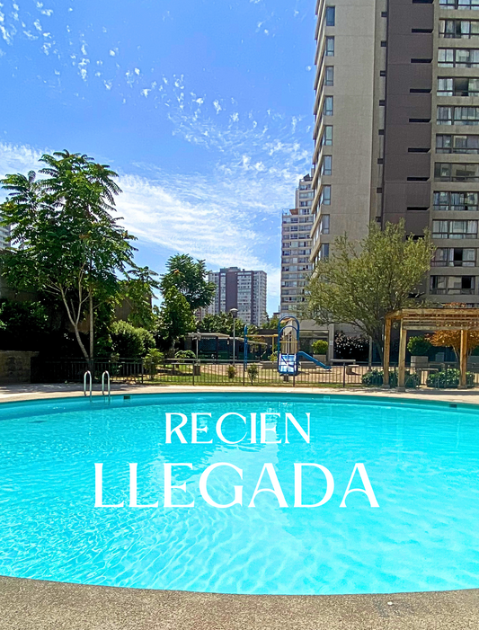 Arriendo Depto Independencia 1 Dormitorio Ceracno A Metro Hospitales