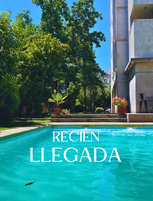 Venta Departameto Providencia Tipo Loft 1 dormitorio,  Inez De Suarez