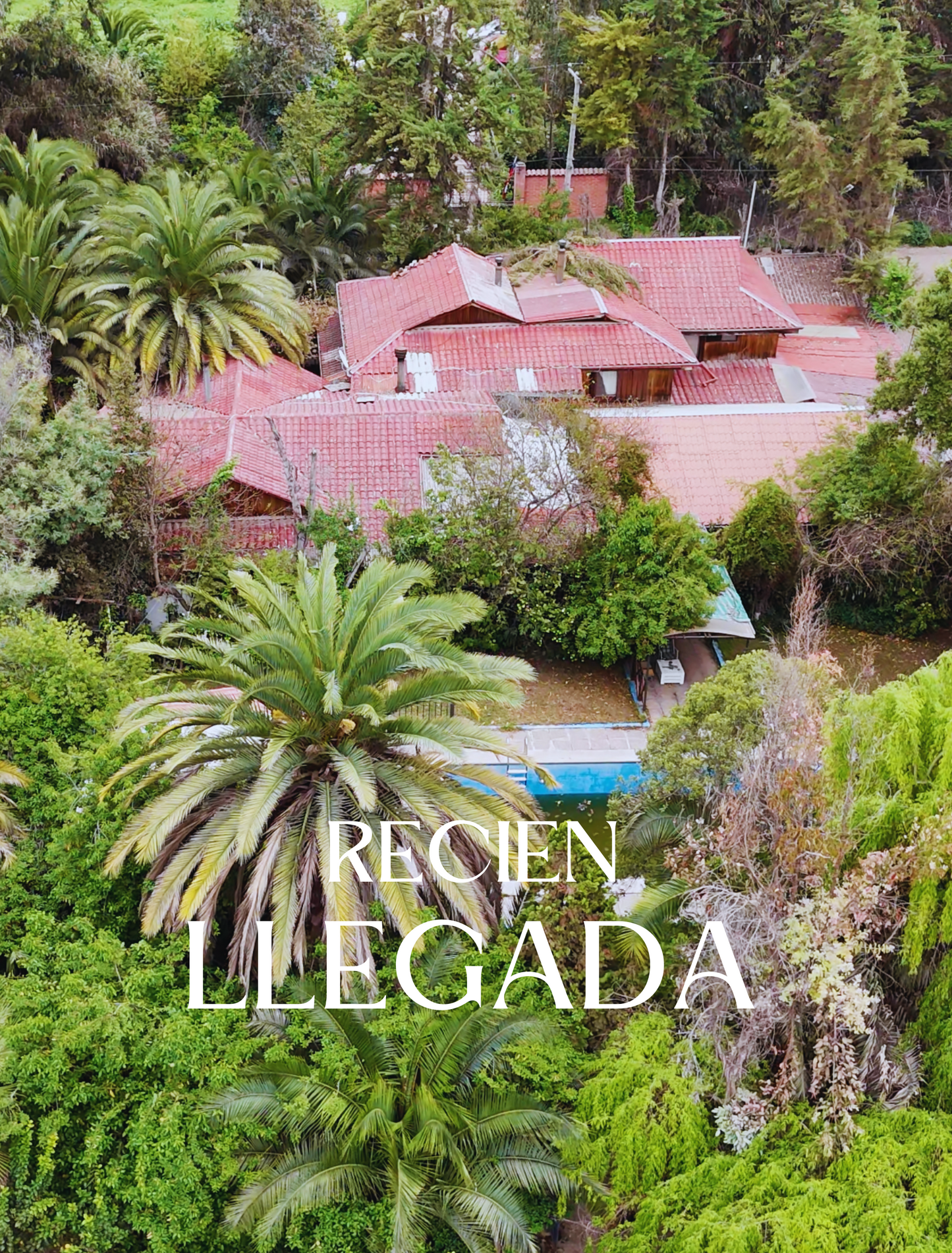 PARCELA EDEN REGIÓN METROPOLITANA TALAGANTE