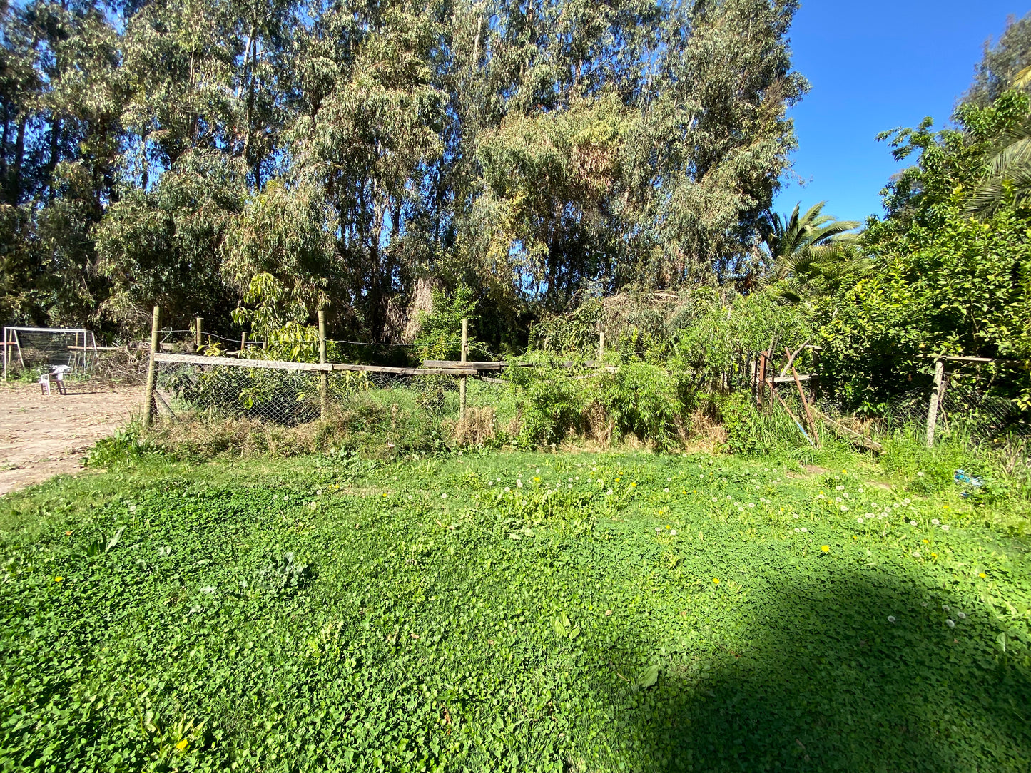 PARCELA EDEN REGIÓN METROPOLITANA TALAGANTE
