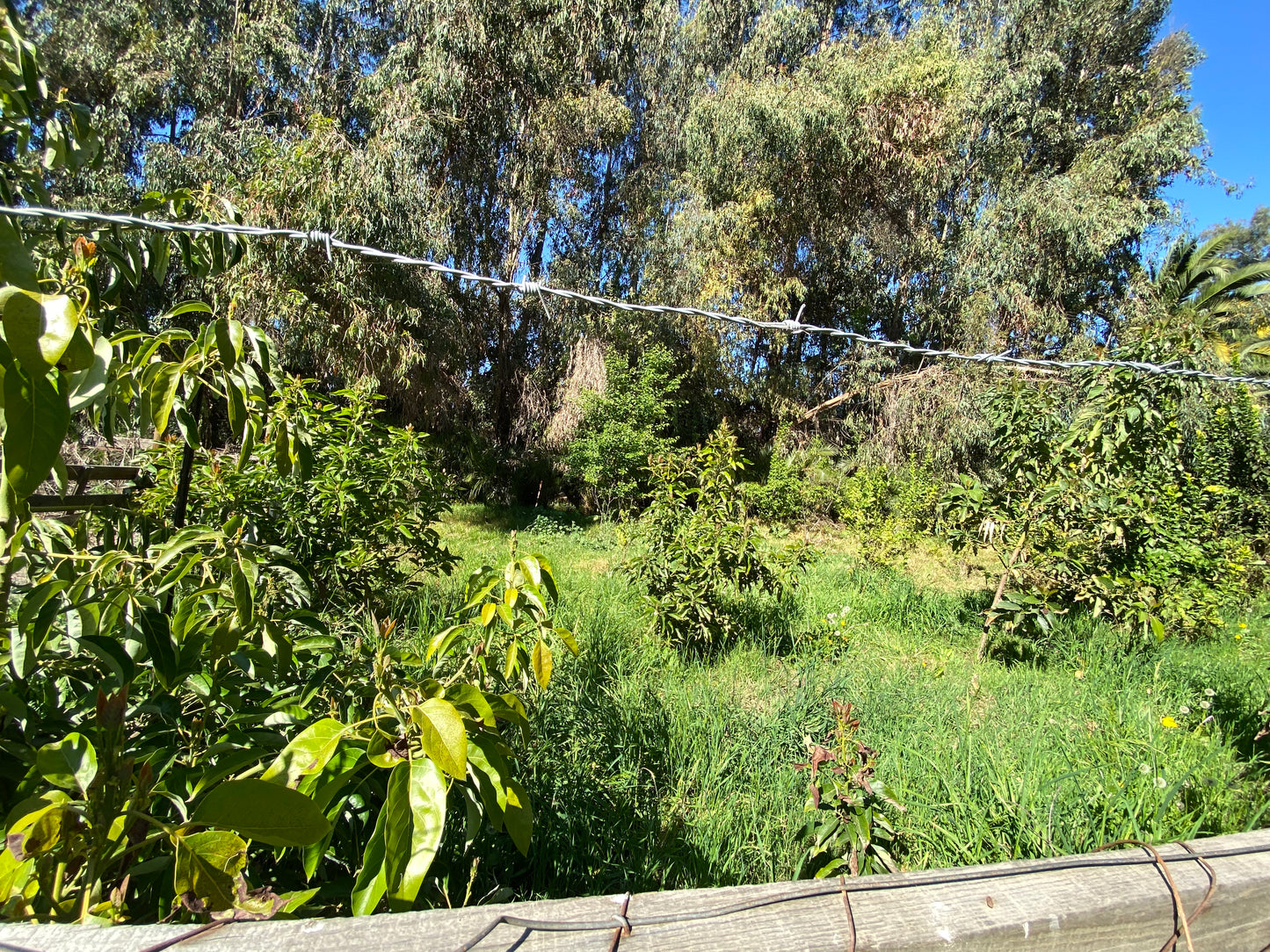 PARCELA EDEN REGIÓN METROPOLITANA TALAGANTE