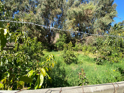 PARCELA EDEN REGIÓN METROPOLITANA TALAGANTE