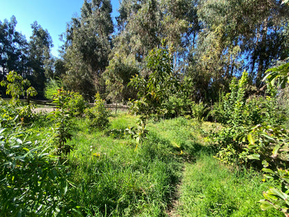 PARCELA EDEN REGIÓN METROPOLITANA TALAGANTE
