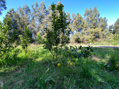 PARCELA EDEN REGIÓN METROPOLITANA TALAGANTE