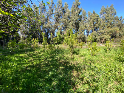 PARCELA EDEN REGIÓN METROPOLITANA TALAGANTE