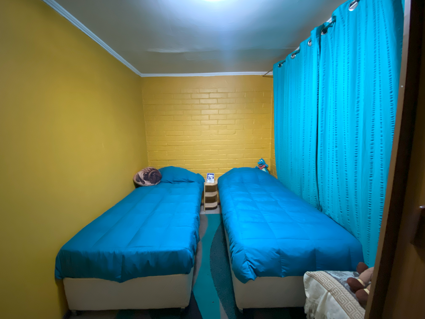 Casa Puente Alto Sector Camino Las Vixcachas